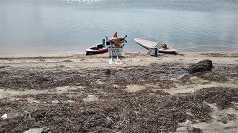 r/PaddleBoardNaked